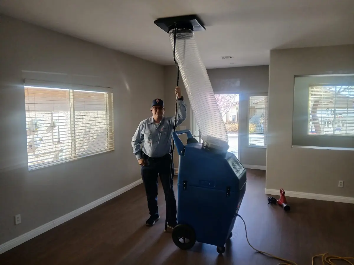 Professional Dryer Vent Cleaning work inside a Tredyffrin home